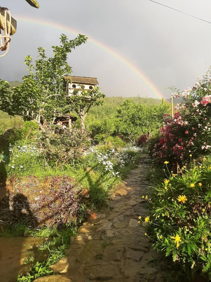 H'Mong Co Tran Sapa Homestay Zewnętrze zdjęcie
