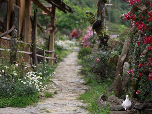 H'Mong Co Tran Sapa Homestay Zewnętrze zdjęcie