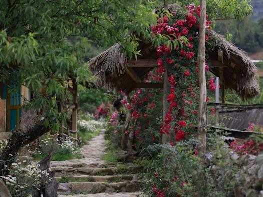 H'Mong Co Tran Sapa Homestay Zewnętrze zdjęcie