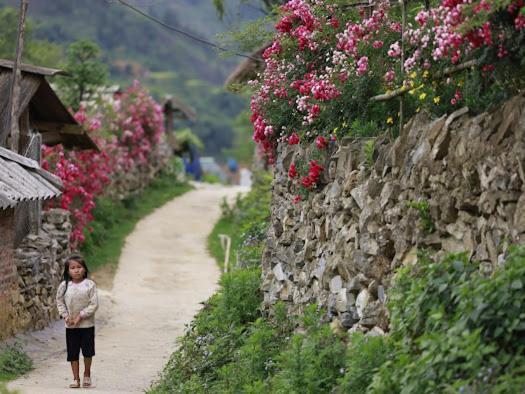 H'Mong Co Tran Sapa Homestay Zewnętrze zdjęcie