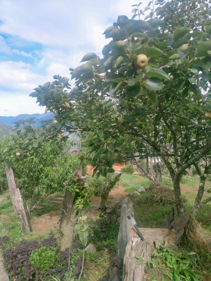 H'Mong Co Tran Sapa Homestay Zewnętrze zdjęcie