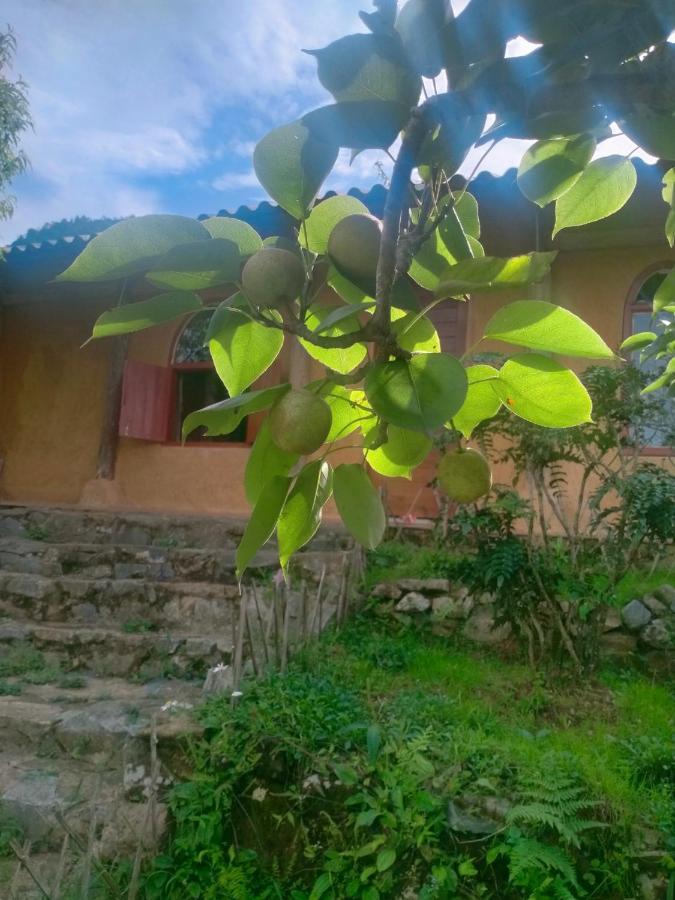 H'Mong Co Tran Sapa Homestay Zewnętrze zdjęcie