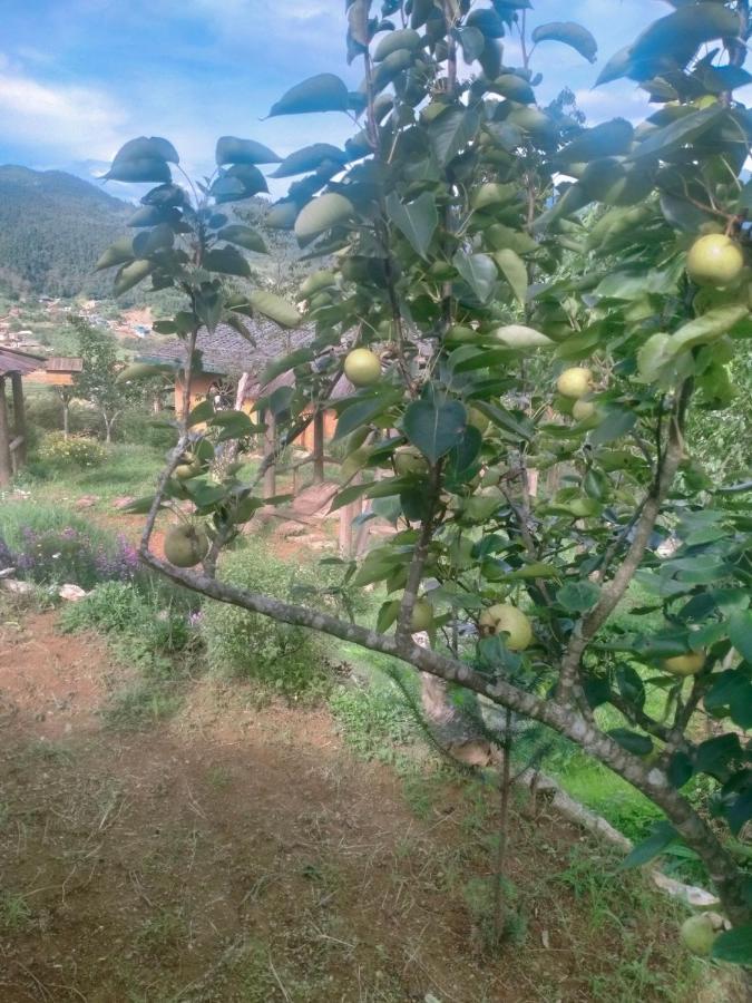 H'Mong Co Tran Sapa Homestay Zewnętrze zdjęcie