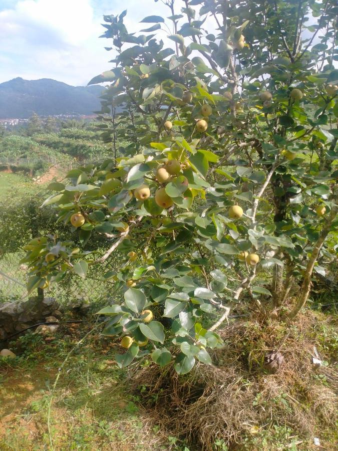 H'Mong Co Tran Sapa Homestay Zewnętrze zdjęcie